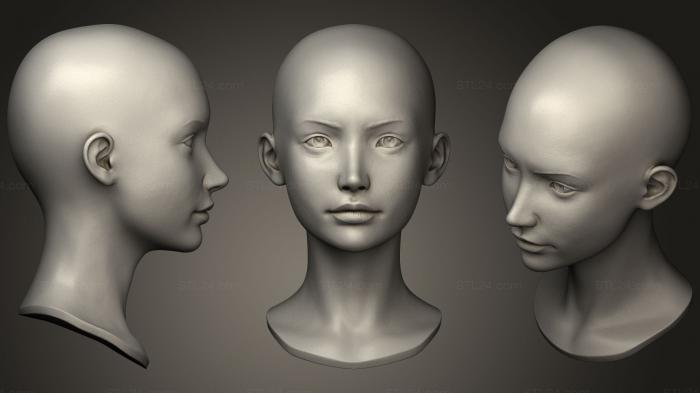 Anatomy of skeletons and skulls (Female Head 5, ANTM_0502) 3D models for cnc